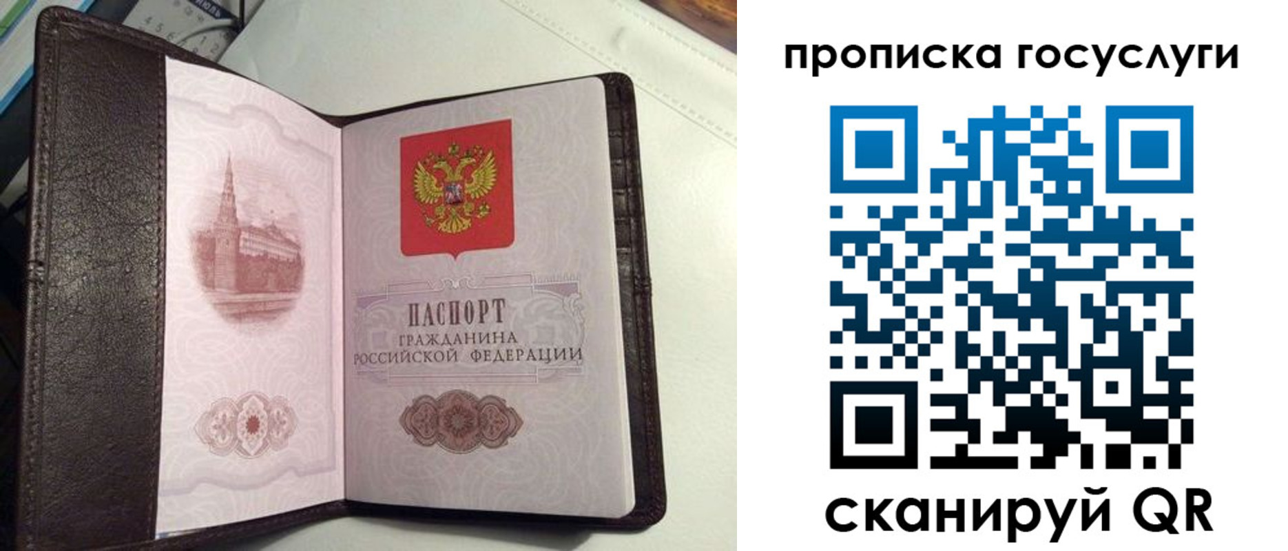 временная прописка в Гагарине